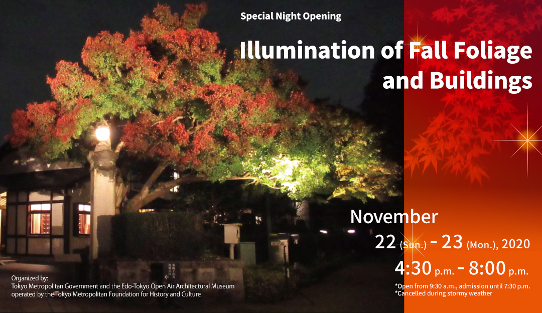 Special Night Opening Illumination of Fall Foliage and Buildings