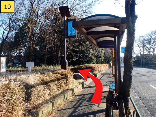 ⑩「小金井公園西口」を下車した目の前に、小金井公園の入口があります。