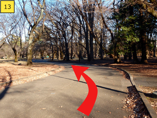 ⑬Turn left along the road and walk about 50m.