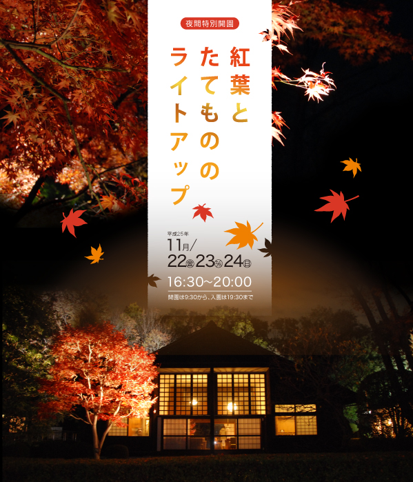 夜間特別開園 紅葉とたてもののライトアップ