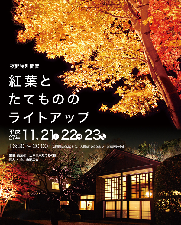 特別夜間開園 紅葉とたてもののライトアップ