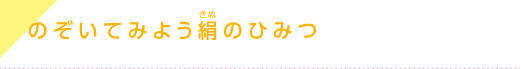 のぞいてみよう絹のひみつ