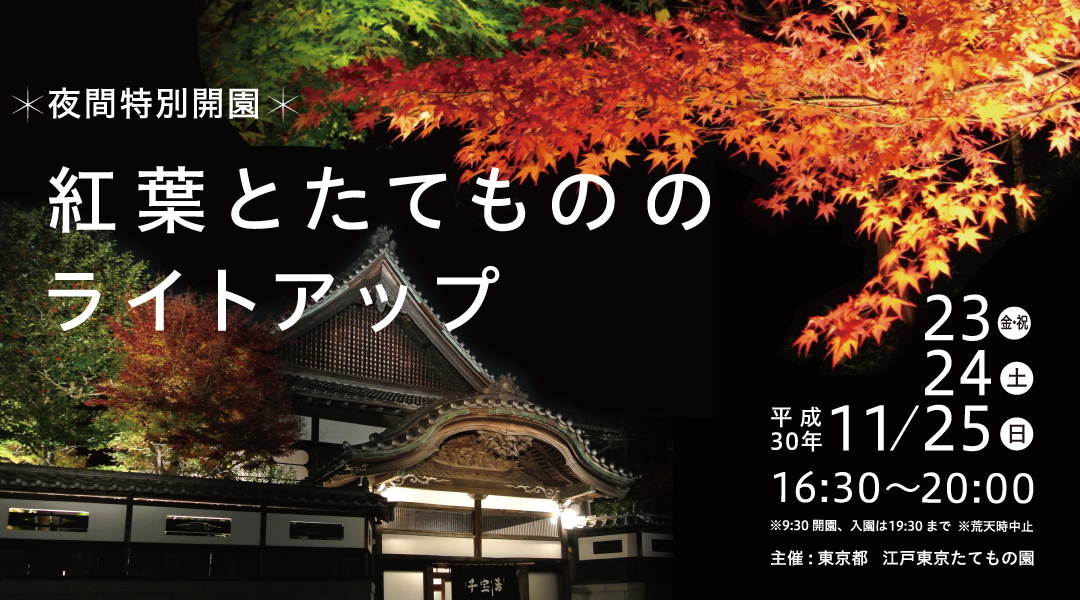 夜間特別開園 紅葉とたてもののライトアップ