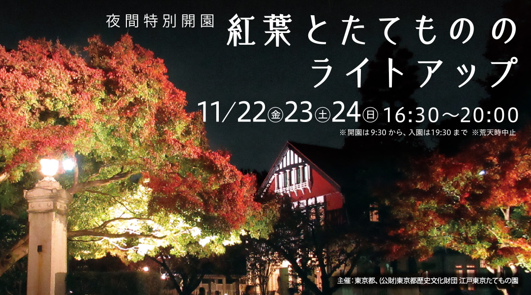 夜間特別開園 紅葉とたてもののライトアップ