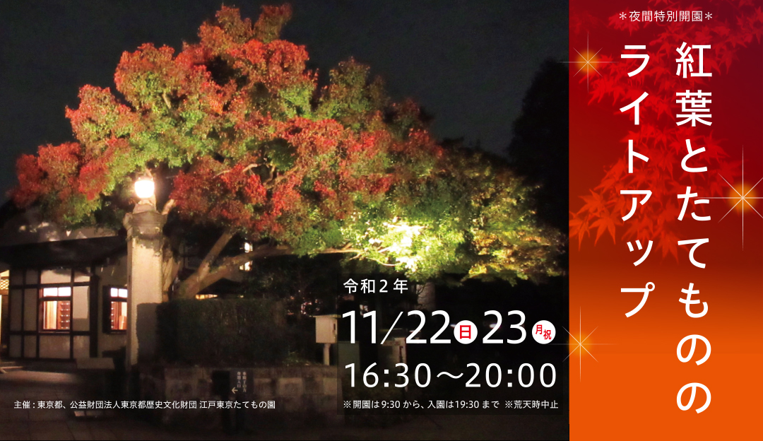 夜間特別開園 紅葉とたてもののライトアップ