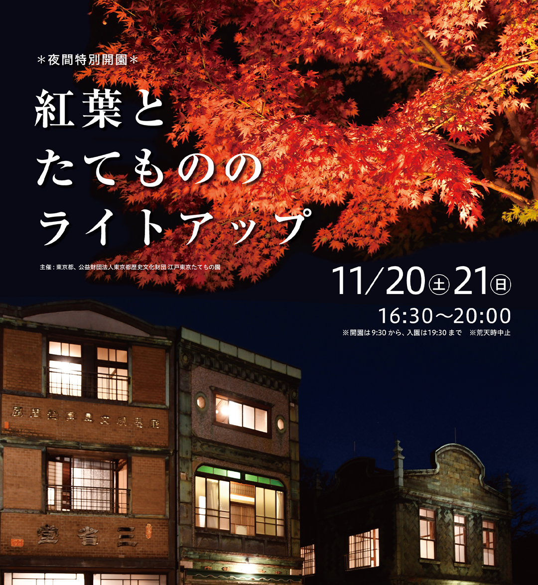 夜間特別開園 紅葉とたてもののライトアップ