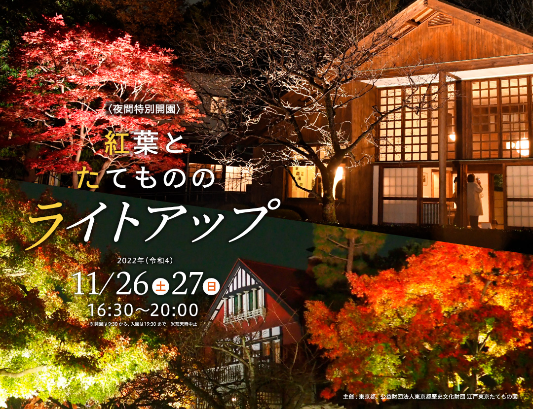 夜間特別開園 紅葉とたてもののライトアップ