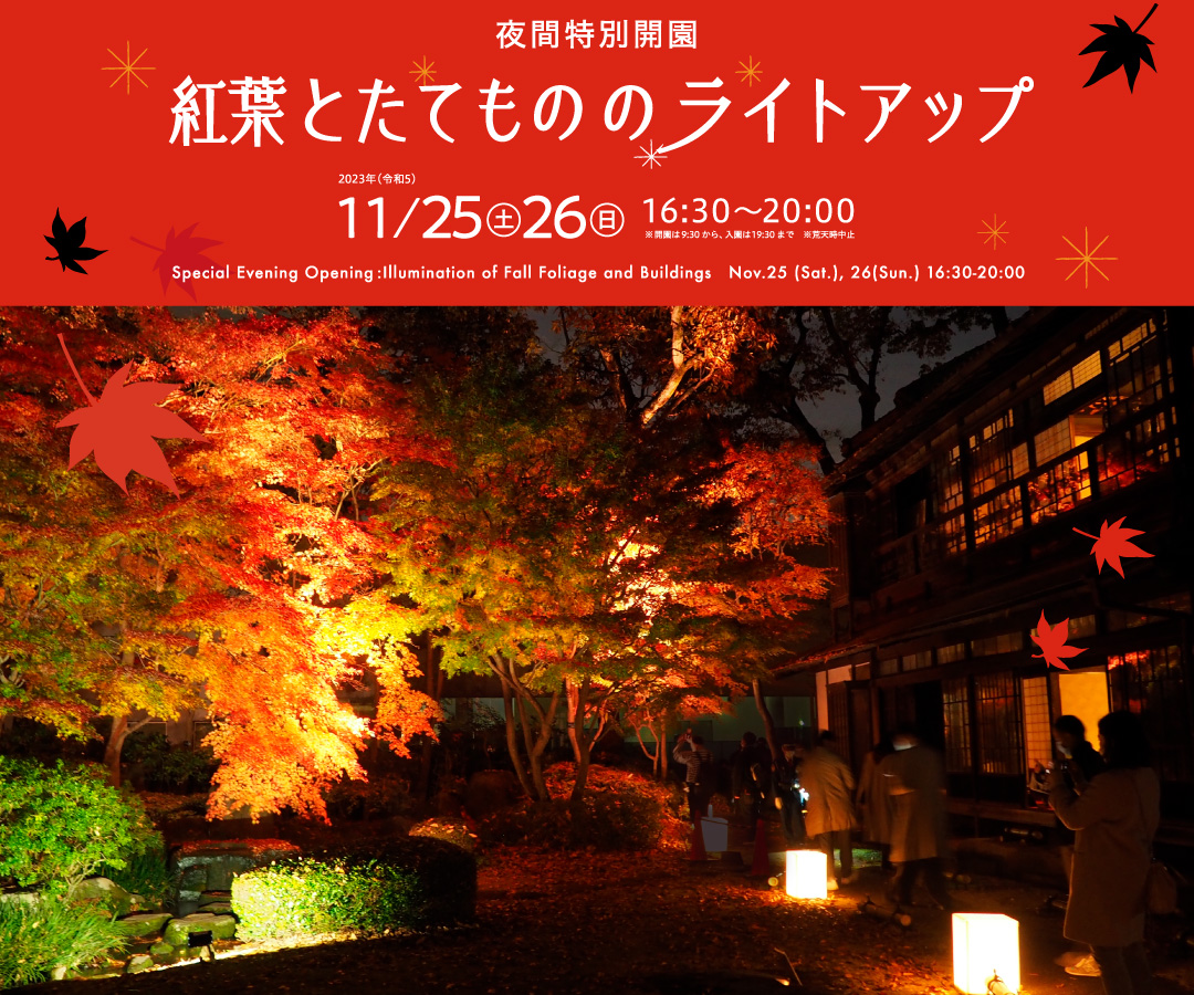 夜間特別開園 紅葉とたてもののライトアップ