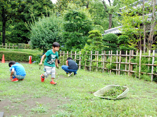 夏本番前にさっぱり！ 草むしり体験