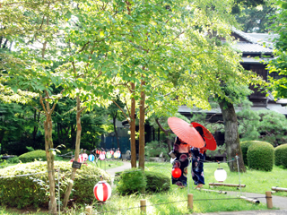 緑が揺れる　高橋是清邸庭園