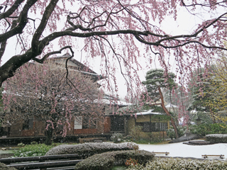 3月21日には雪が積もりました