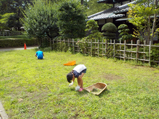 夏支度の草むしり