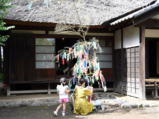 願い事が叶いますように