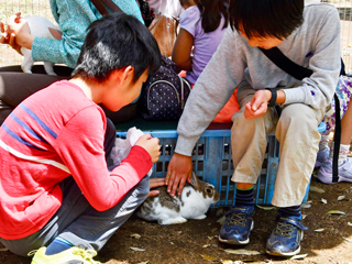 民家のにわ こどもどうぶつえん