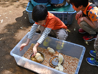 民家のにわ こどもどうぶつえん