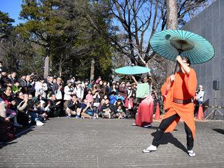 太神楽曲芸・曲独楽