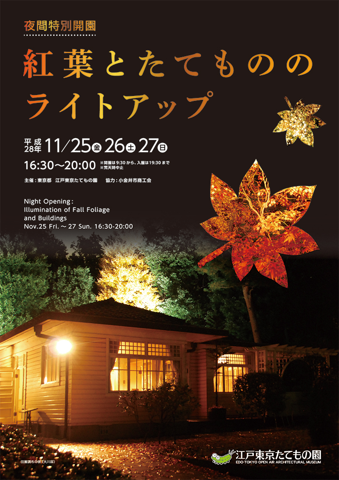 紅葉とたてもののライトアップ◯2016(平成28)11/25-27