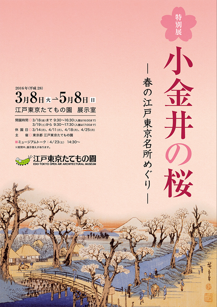 小金井の桜◯2016(平成28)3/8-5/8