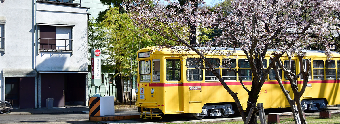 桜と都電