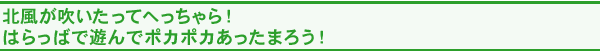 北風が吹いたってへっちゃら!はらっぱで遊んでポカポカあったまろう!