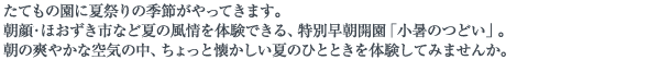 たてもの園に夏祭りの季節がやってきます。朝顔・ほおずき市など夏の風情を体験できる、特別早朝開園「小暑のつどい」。朝の爽やかな空気の中、ちょっと懐かしい夏のひとときを体験してみませんか。