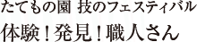 たてもの園 技のフェスティバル 体験！発見！職人さん