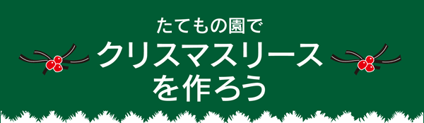 たてもの園でクリスマスリースを作ろう