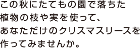 この秋にたてもの園で落ちた植物の枝や実を使って、あなただけのクリスマスリースを作ってみませんか。