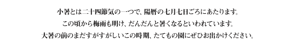 小暑とは二十四節気の一つで、陽暦の七月七日ごろにあたります。この頃から梅雨も明け、だんだんと暑くなるといわれています。大暑の前のまだすがすがしいこの時期、たてもの園にぜひお出かけください。