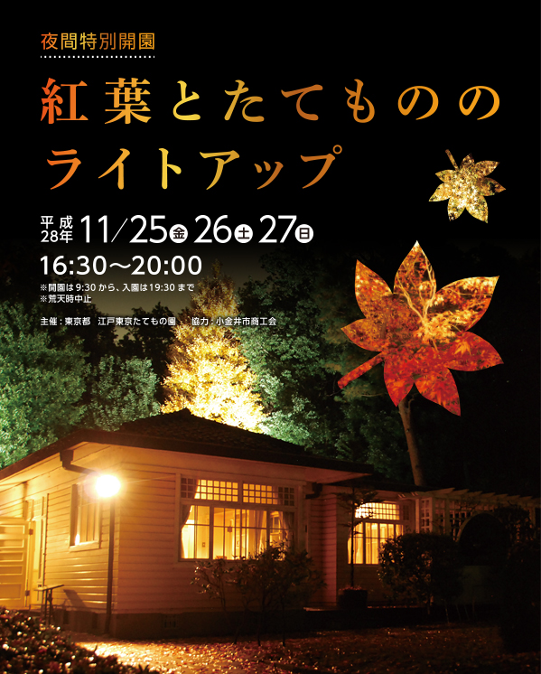 夜間特別開園 紅葉とたてもののライトアップ