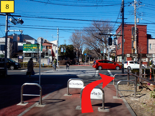 ⑧道路（小金井街道）に出たら横断歩道を渡らず、右に曲がります。