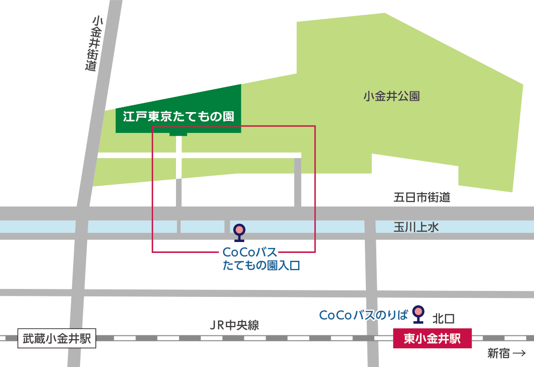 アクセス 江戸東京たてもの園