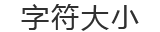 字符大小